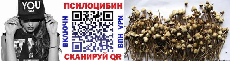 Галлюциногенные грибы ЛСД как найти закладки Бикин
